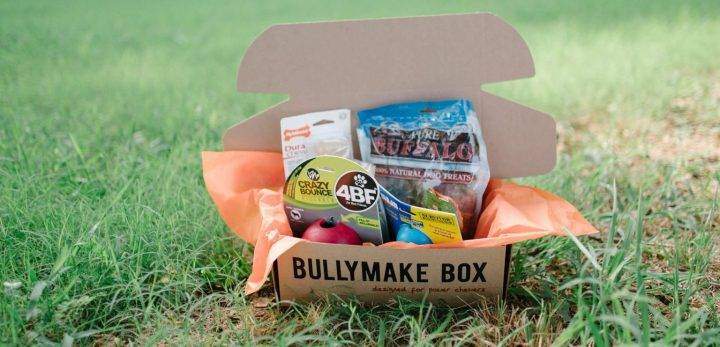 Bullymake2