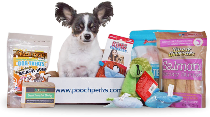 pooch perks