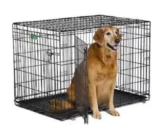 Best Dog Crate For A Golden Retriever