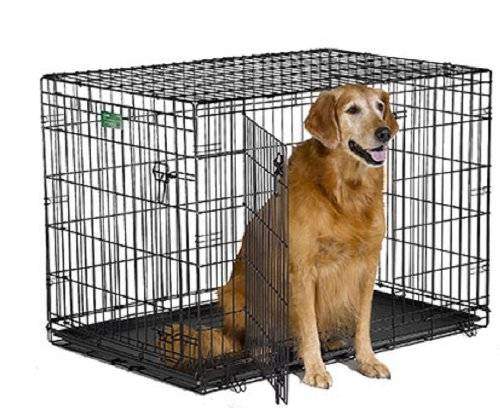 Midwest iCrate Double Door Wire Dog Crate