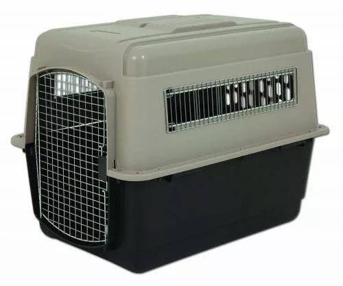 Plastic Dog Crate