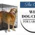 best crate for golden retriever golden retriever health and care totally goldens best crate for golden retriever golden retriever health and care totally goldens