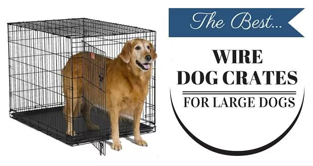 Best Wire Dog Crates For Large Dogs