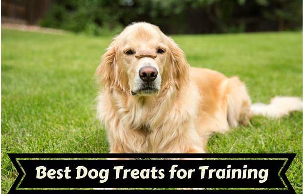 The Best Dog Treats For Training In 2020 Totally Goldens