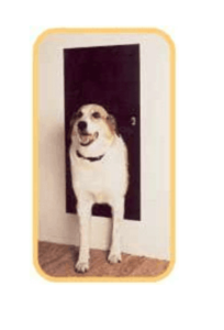 Best Electronic Doggie Doors For Golden Retrievers In 2020