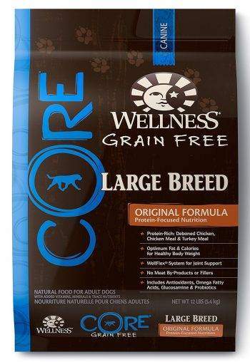 Pouch of Wellness Core Large Breed Formula dog food isolated on white