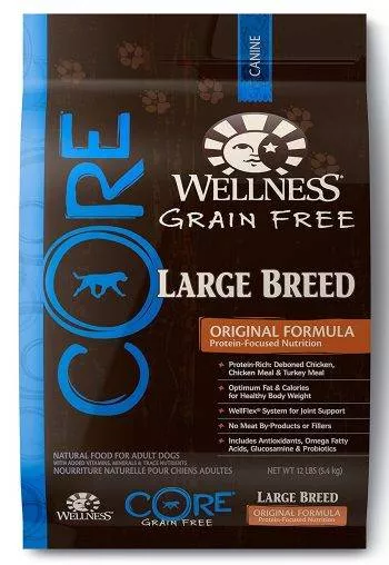 Pouch of Wellness Core Large Breed Formula dog food isolated on white