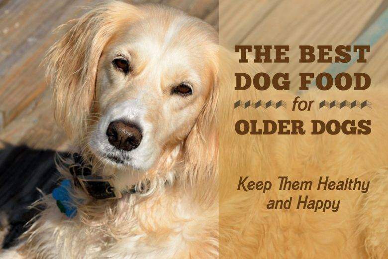 best food for older dogs