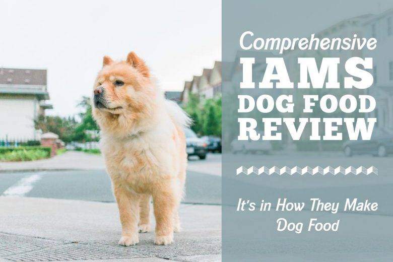 Comprehensive IAMS Dog Food Review It's In How They Make Dog Food