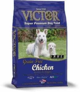 Victor Chicken Grain-Free Dry Dog Food