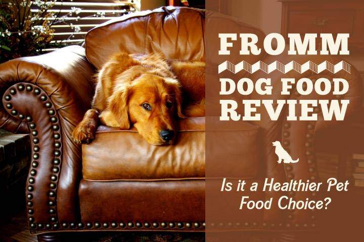 Unbiased Fromm Dog Food Review 2020 