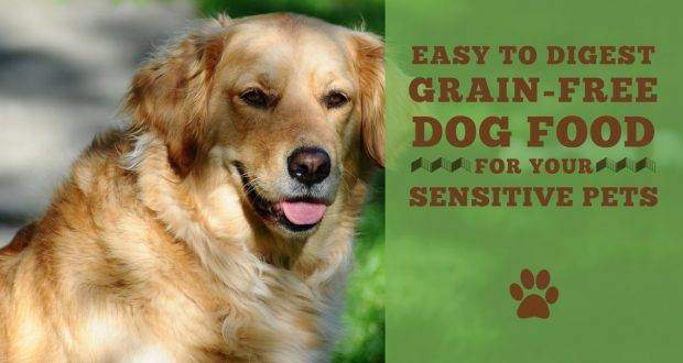 Dog Food Recipe Sweet Golden Retriever Dog Food Recipe Sweet Golden Retriever