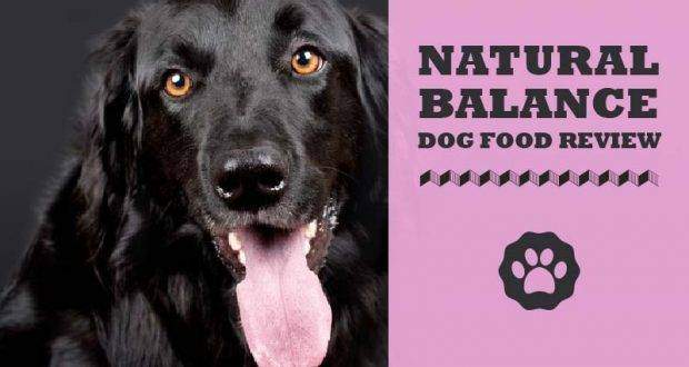 Natural Balance Dog Food Nutritional Info Natural Balance Dog Food Nutritional Info
