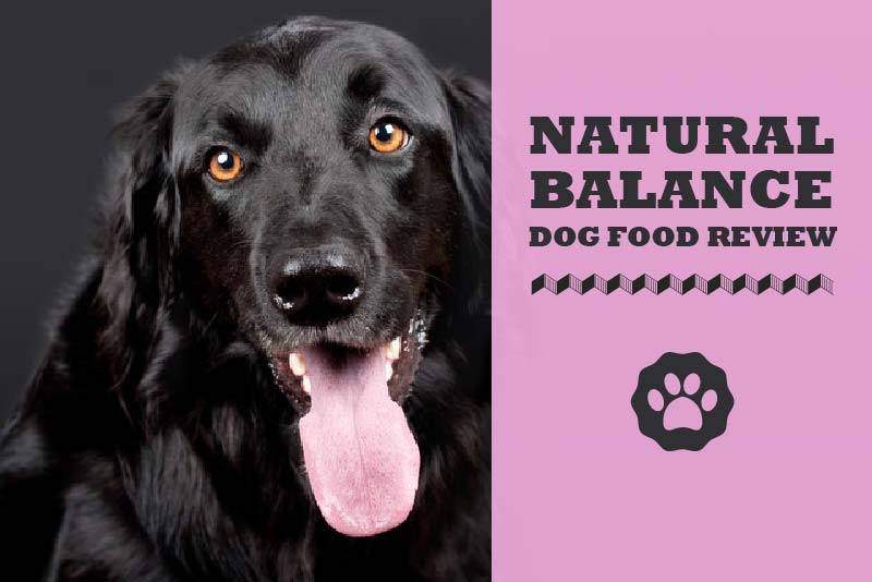 natural balance dog food canada