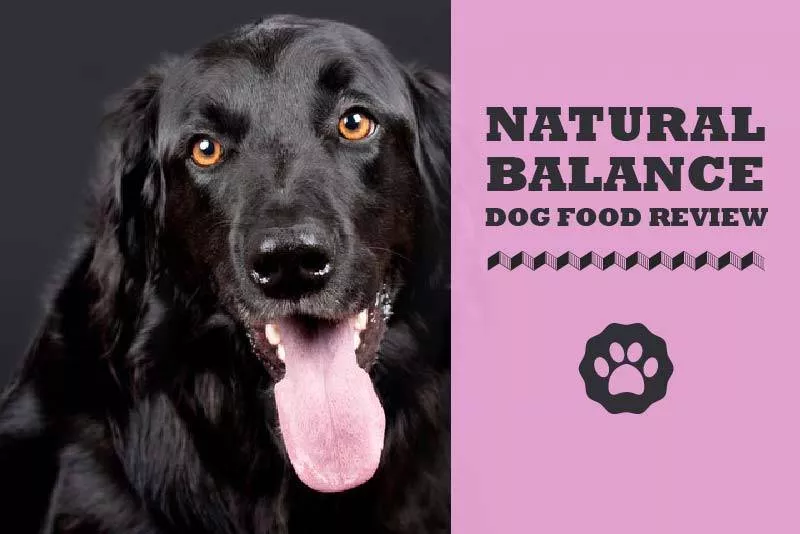 natural balance package