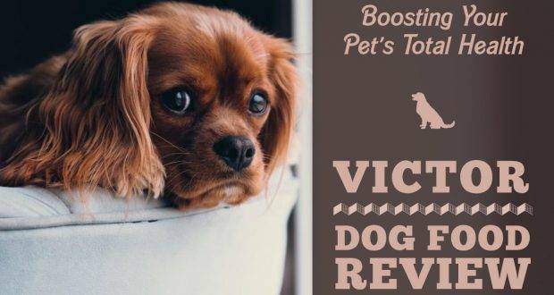 Victor Brand Dog Food Reviews Victor Brand Dog Food Reviews