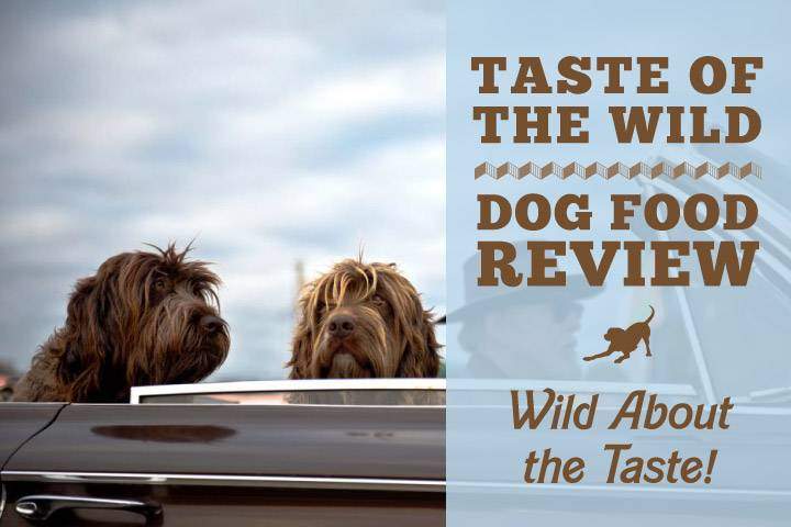 taste of the wild best flavor