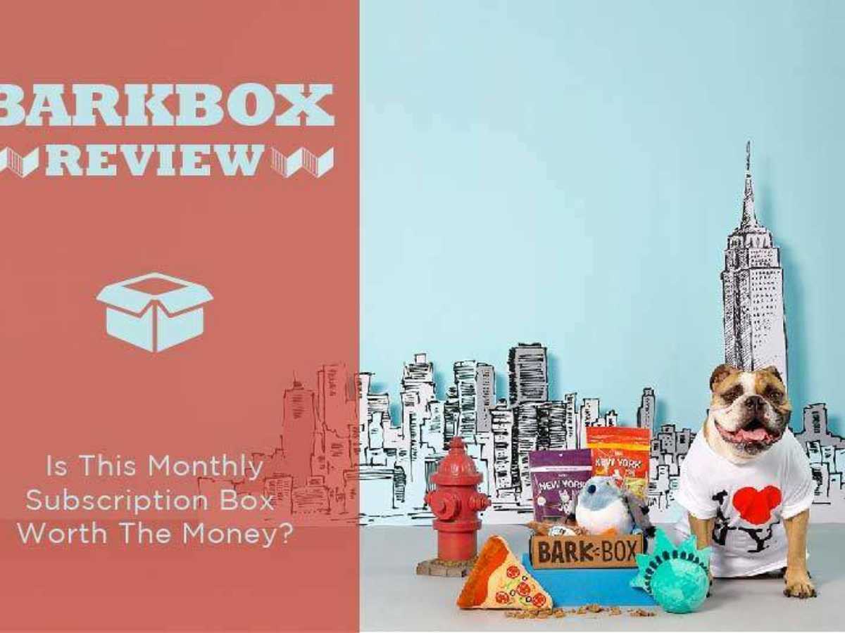 Super chewer barkbox coupon code 2018 clearance