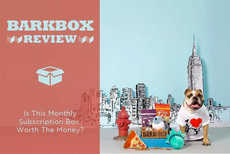 BarkBox - The Monthly Dog Toy and Treat Box