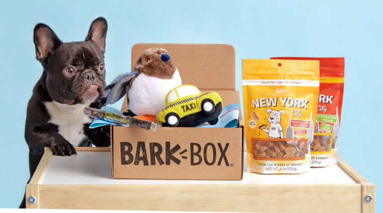 BarkBox 2021 Review by Totally Goldens Why it is worth