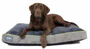 Better World Pets Waterproof Memory Foam Orthopedic Bed