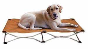 cooling dog bed reviews