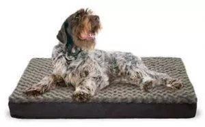 FurHaven NAP Ultra Plush Deluxe Memory Foam Bed