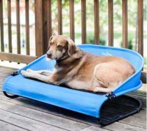 elevated cooling cot pet bed