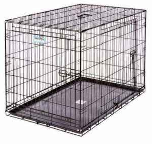 frisco fold & carry double door dog crate