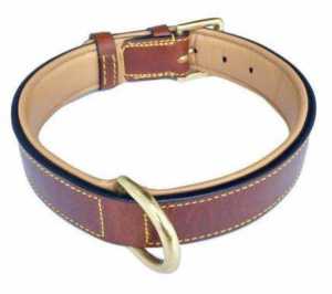 retriever brand dog collars