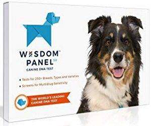 Wisdom Panel 3.0 Breed Identification Dog DNA Test Kit Wisdom Panel 3.0 Breed Identification Dog DNA Test Kit