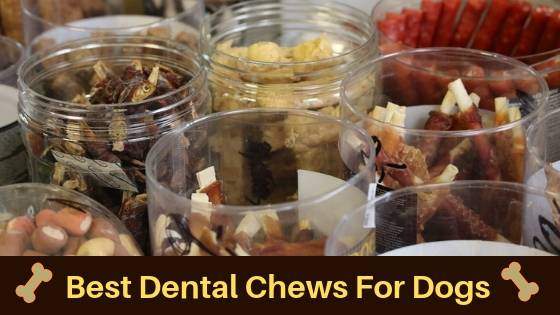 best dental chews for dogs best dental chews for dogs