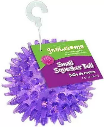 Gnawsome Squeaker Ball Dog Toy