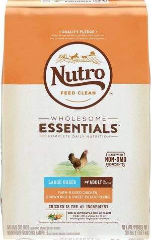 best nutro dog food