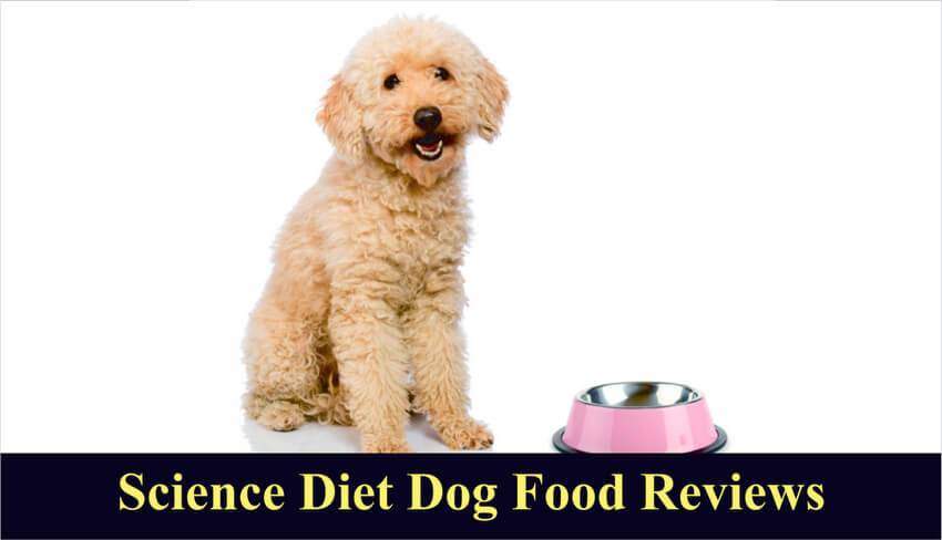 Science Diet Dog Food Reviews 2019 - Totally Goldens