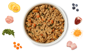 ollie's healthy turkey fare
