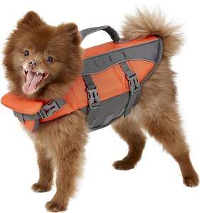 small dog life jacket