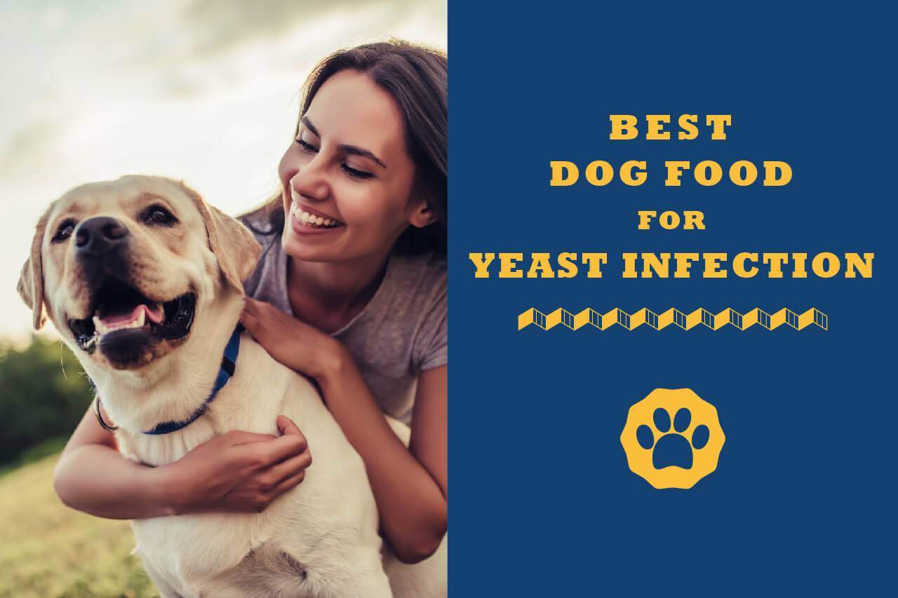 dog food for yeast allergies