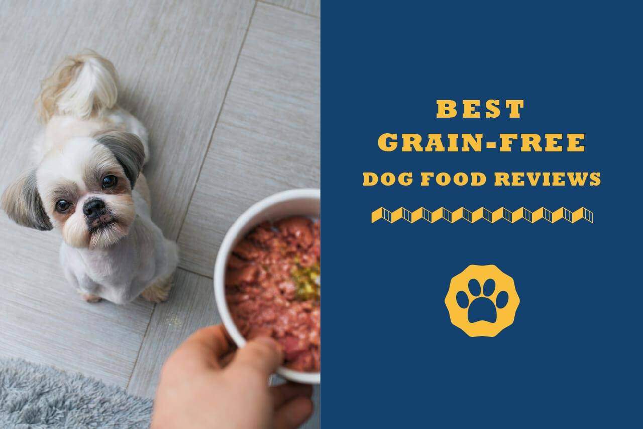 usda grain free dog food