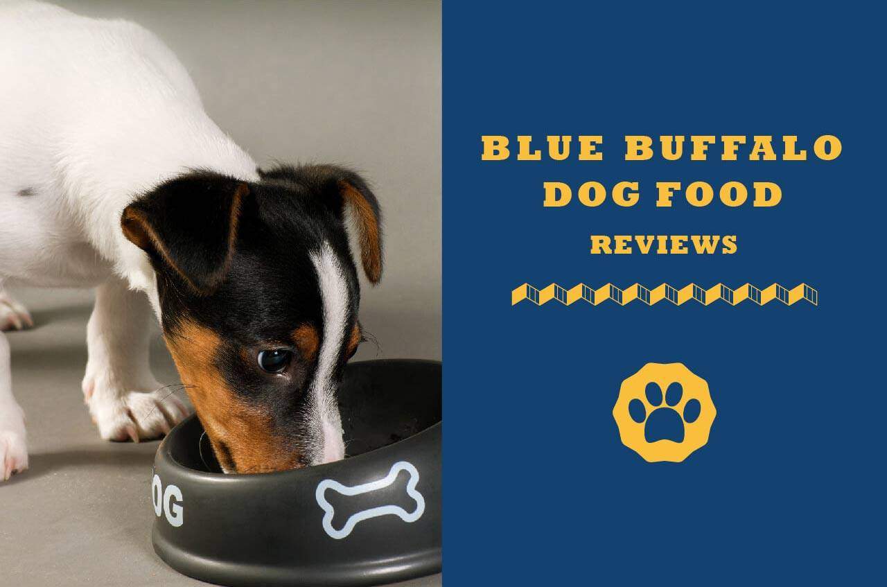Blue dog food reviews