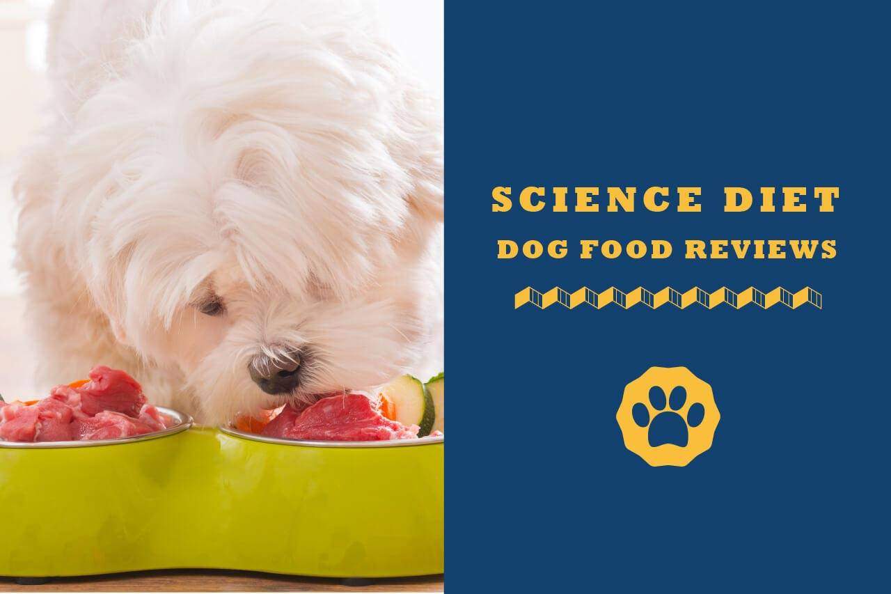scientific dog food