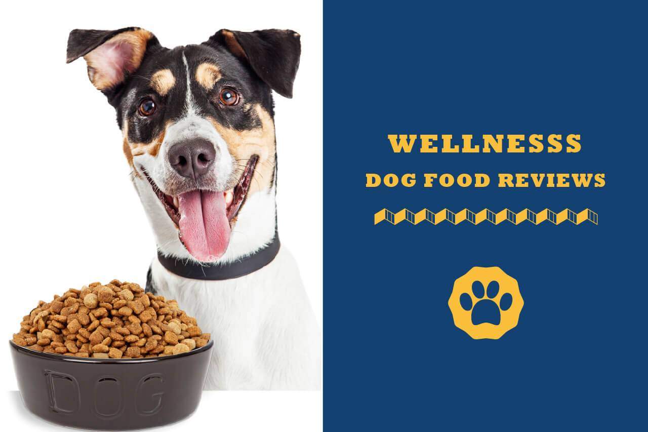 wellness simple dog food