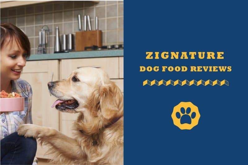 zignature low fat dog food