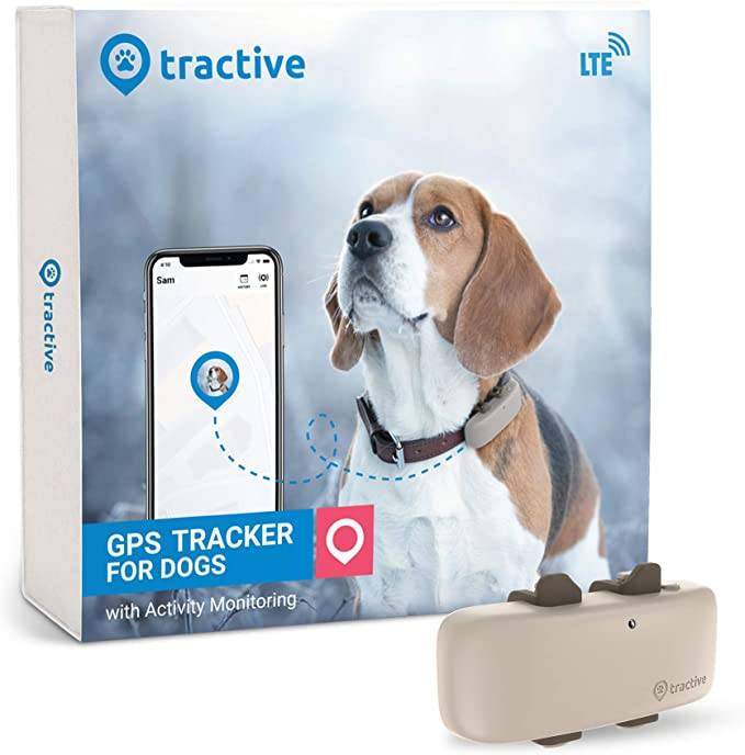 The best GPS dog trackers and collars