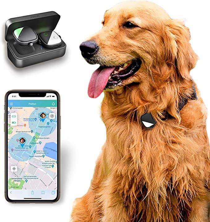 The best GPS dog trackers and collars