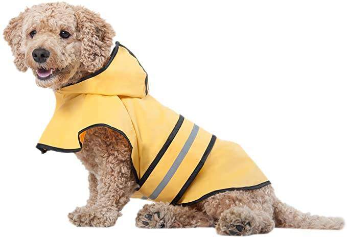 Proplums dog raincoat Clearance