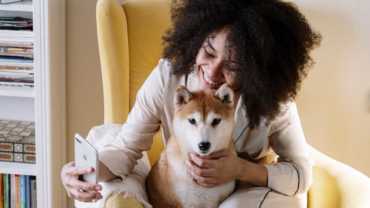 Best Toys for Anxious Dogs