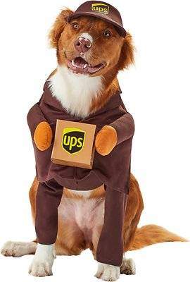 ups dog outfit