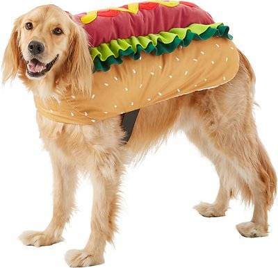 Golden Retriever Halloween Costumes