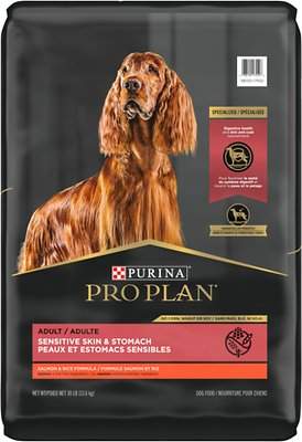Chewy Dog Food Delivery Service Review for 2021 - Totally Goldens